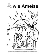 A wie Ameise-1.pdf